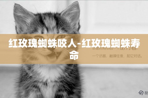 紅玫瑰蜘蛛咬人-紅玫瑰蜘蛛壽命