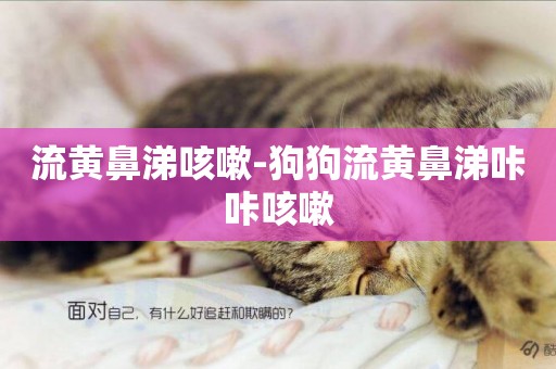 流黃鼻涕咳嗽-狗狗流黃鼻涕咔咔咳嗽