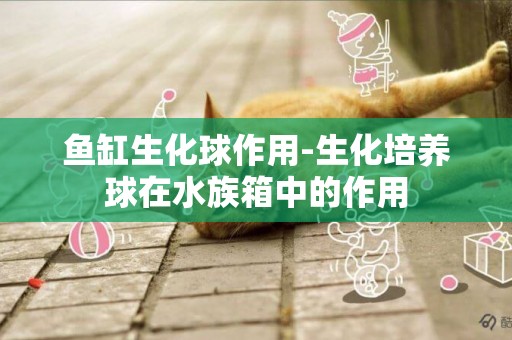 魚缸生化球作用-生化培養球在水族箱中的作用