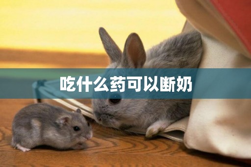 吃什么藥可以斷奶