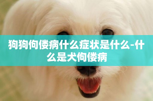 狗狗佝僂病什么癥狀是什么-什么是犬佝僂病