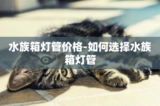 水族箱燈管價格-如何選擇水族箱燈管