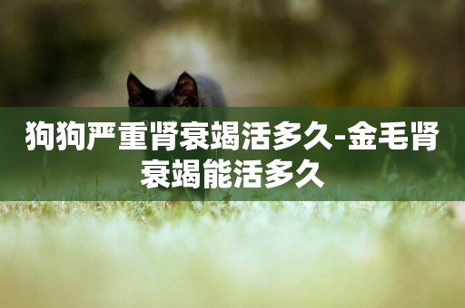 狗狗嚴重腎衰竭活多久-金毛腎衰竭能活多久