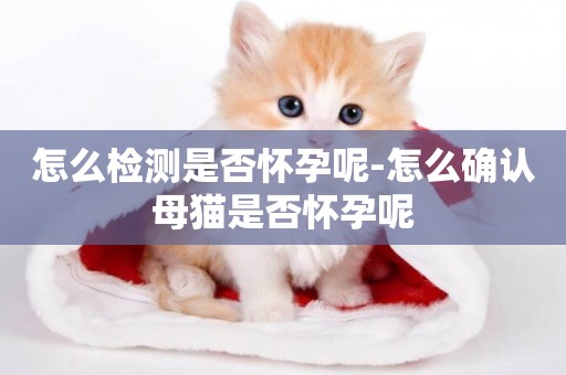 怎么檢測是否懷孕呢-怎么確認母貓是否懷孕呢