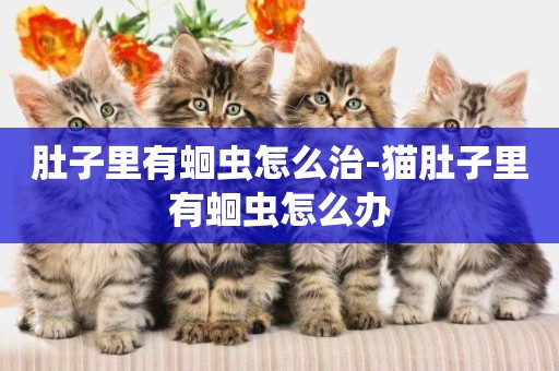 肚子里有蛔蟲怎么治-貓肚子里有蛔蟲怎么辦