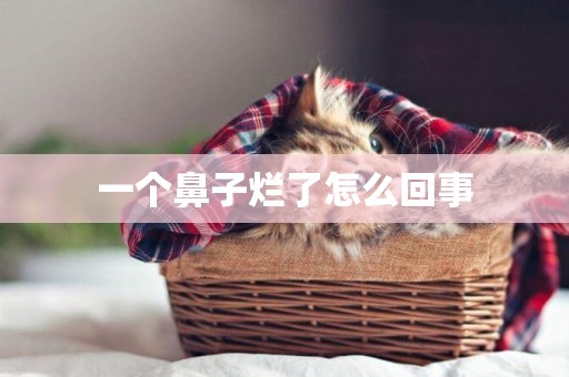一個鼻子爛了怎么回事