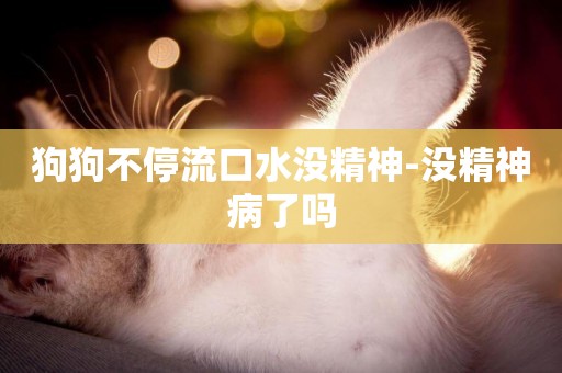 狗狗不停流口水沒精神-沒精神病了嗎