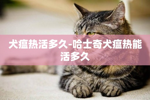 犬瘟熱活多久-哈士奇犬瘟熱能活多久