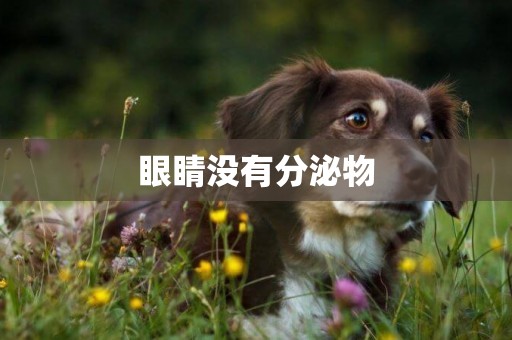 眼睛沒有分泌物