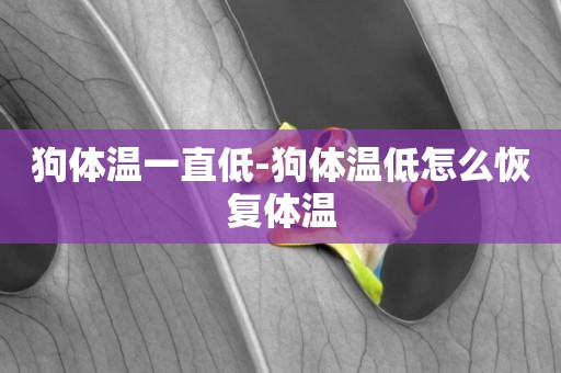 狗體溫一直低-狗體溫低怎么恢復體溫