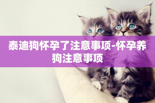 泰迪狗懷孕了注意事項-懷孕養狗注意事項