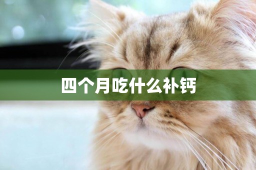 四個月吃什么補鈣