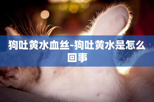 狗吐黃水血絲-狗吐黃水是怎么回事