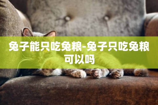 兔子能只吃兔糧-兔子只吃兔糧可以嗎