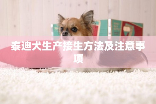 泰迪犬生產接生方法及注意事項