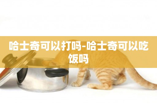 哈士奇可以打嗎-哈士奇可以吃飯嗎