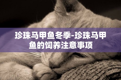 珍珠馬甲魚冬季-珍珠馬甲魚的飼養注意事項