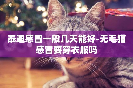 泰迪感冒一般幾天能好-無毛貓感冒要穿衣服嗎