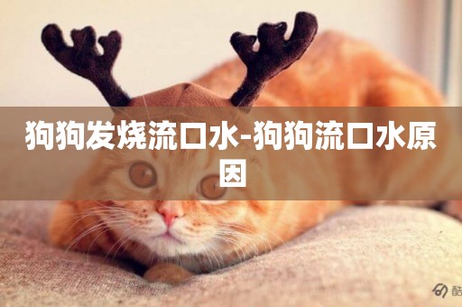 狗狗發燒流口水-狗狗流口水原因