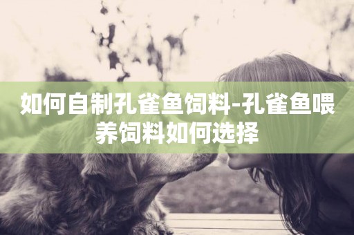 如何自制孔雀魚飼料-孔雀魚喂養飼料如何選擇