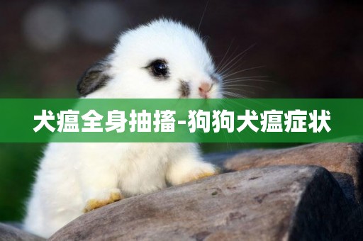 犬瘟全身抽搐-狗狗犬瘟癥狀