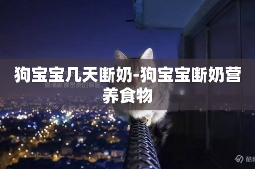 狗寶寶幾天斷奶-狗寶寶斷奶營養食物