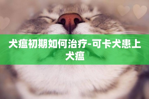 犬瘟初期如何治療-可卡犬患上犬瘟