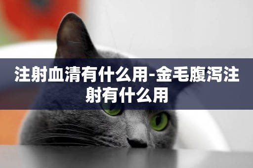 注射血清有什么用-金毛腹瀉注射有什么用