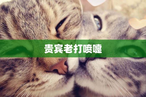 貴賓老打噴嚏