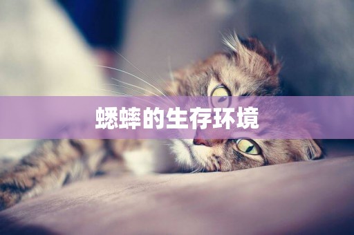 蟋蟀的生存環境