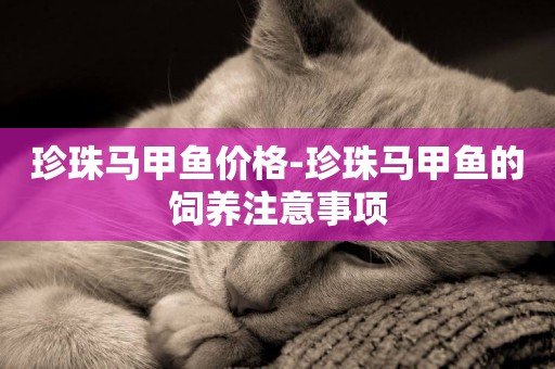 珍珠馬甲魚價格-珍珠馬甲魚的飼養注意事項