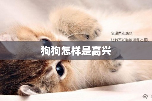 狗狗怎樣是高興