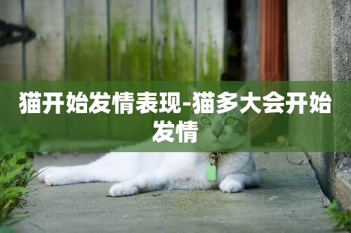 貓開始發情表現-貓多大會開始發情