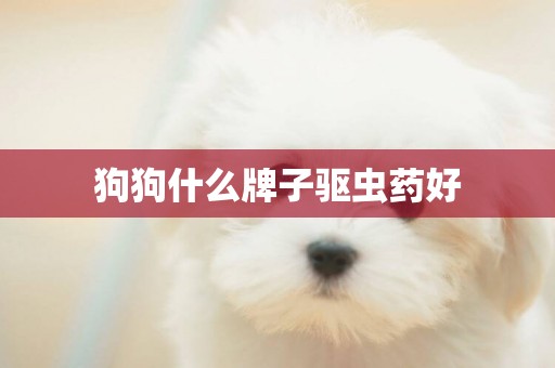 狗狗什么牌子驅蟲藥好