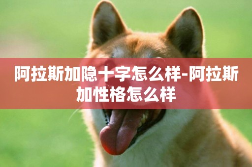 阿拉斯加隱十字怎么樣-阿拉斯加性格怎么樣
