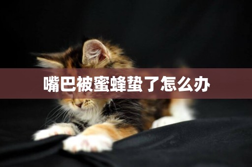 嘴巴被蜜蜂蟄了怎么辦
