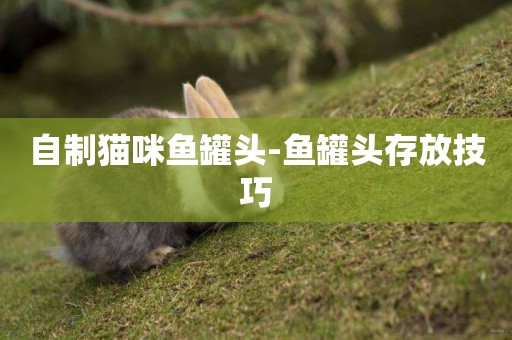 自制貓咪魚罐頭-魚罐頭存放技巧