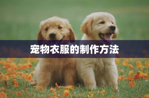 寵物衣服的制作方法