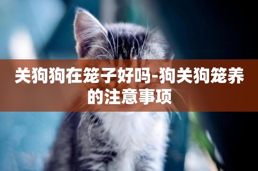 關狗狗在籠子好嗎-狗關狗籠養的注意事項
