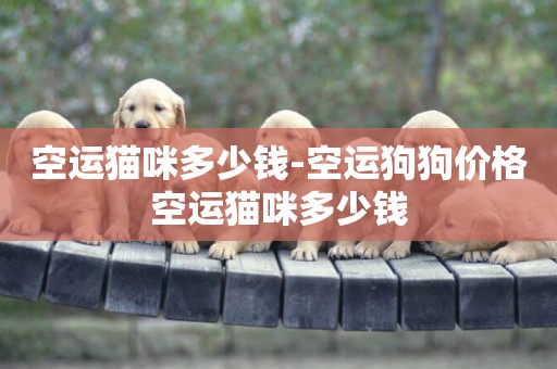 空運貓咪多少錢-空運狗狗價格空運貓咪多少錢