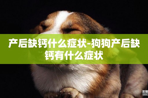 產后缺鈣什么癥狀-狗狗產后缺鈣有什么癥狀