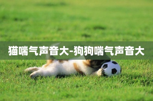 貓喘氣聲音大-狗狗喘氣聲音大