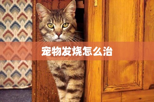 寵物發燒怎么治