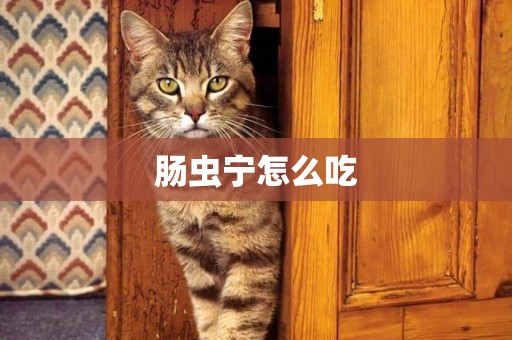腸蟲寧怎么吃
