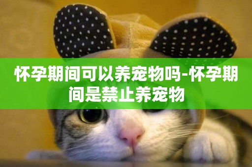 懷孕期間可以養寵物嗎-懷孕期間是禁止養寵物