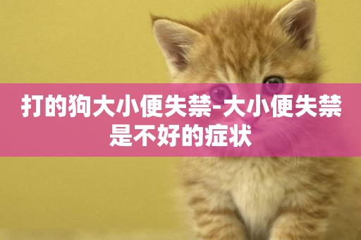 打的狗大小便失禁-大小便失禁是不好的癥狀