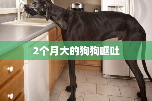2個月大的狗狗嘔吐
