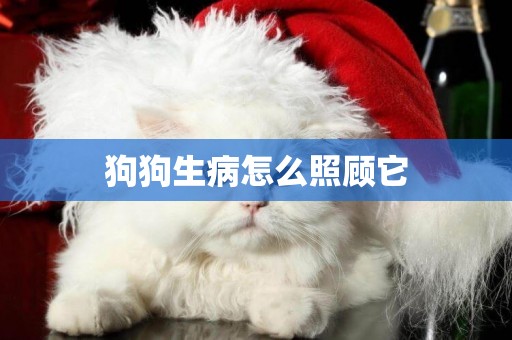 狗狗生病怎么照顧它