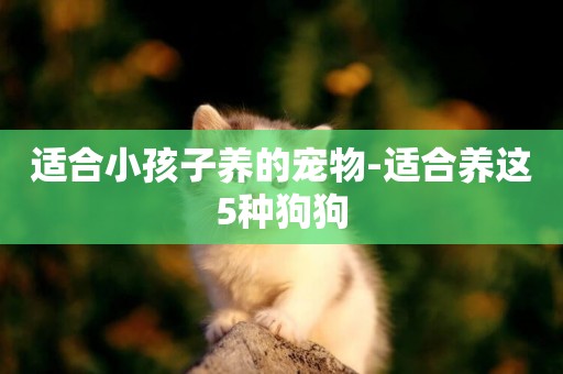 適合小孩子養的寵物-適合養這5種狗狗