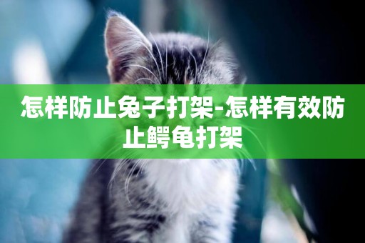 怎樣防止兔子打架-怎樣有效防止鱷龜打架